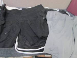 lot 53 image: Big Mens Assorted Shorts...
