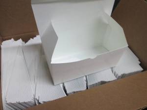 lot 462 image: Case of 250 - White Paper Boxes 4x4...