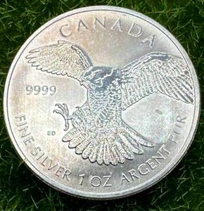 Canadian Wildlife 1oz .999 Silver Round