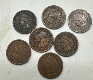 Lot of 7 Indian Head Pennies