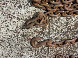 Pair of Log Chains