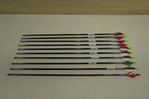 lot 20 image: 10 Carbon Arrows