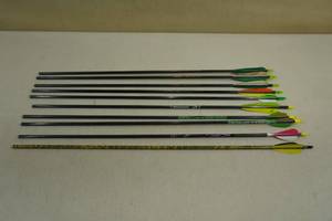 lot 23 image: 10 Carbon Arrows