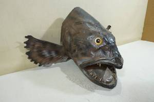 lot 136 image: African Goliath Tigerfish Wall Mount