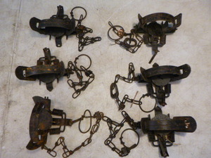 lot 127 image: 6 Animal Traps