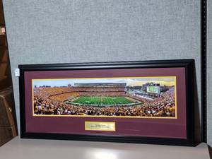lot 178 image: Photo of TCF Bank Stadium Home of the Minnesota Gophers, framed