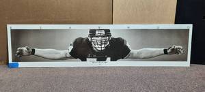 lot 132 image: Signed Authenticated Brian Urlacher 54 Bear Hug