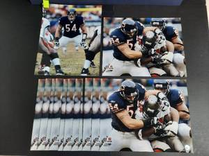 lot 416 image: (13) NFL Official Photo Urlacher 16x 20