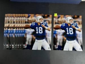 lot 417 image: (10) NFL Official photos of Madden #18, 16x20