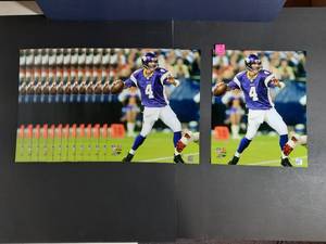 lot 117B image: (14) NFL Authenticated Brett Favre Photos 16 x 20
