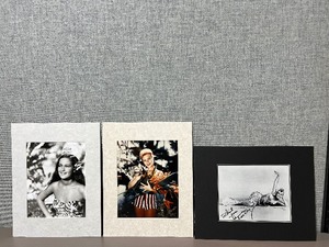 lot 484 image: (3) Signed Celebrity Photos Doris Day, Mitzi Gaynor and Authenticated Signed Dorothy Lamour