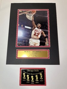 lot 511 image: Authenticated Photo Chicago Bulls Michael Air Jordan 2009 HOF.