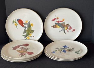 Set of 8 11 American Song Bird Plates