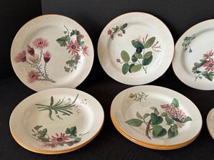 Set of Ten Vintage Wedgewood Botanical Pattern Salad Plates