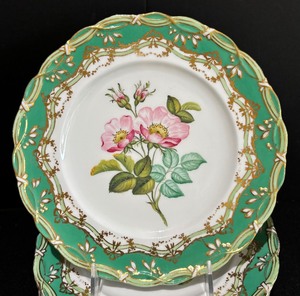 Nine Gorgeous Antique English Botanical Plates