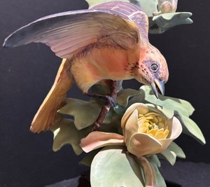 Baltimore Oriole Royal Worcester Sculpture by Dorothy Doughty