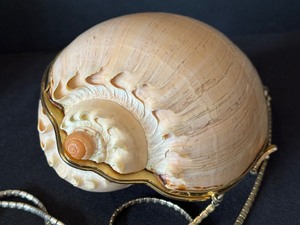 Vintage 1970s JUDITH LEIBER Seashell Minaudiere Handbag - RARE