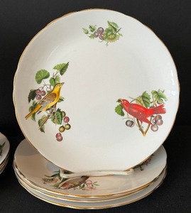 (8) Vintage Audubon Birds Royal Tuscan Luncheon Plates