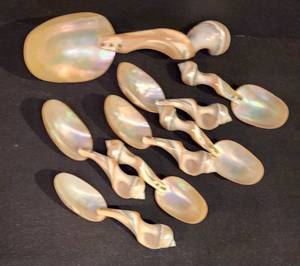 Incredible Iridescent Shell Spoon Set