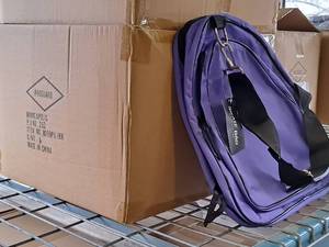 lot 456 image: Lot of (20) Proguard Skate Bags