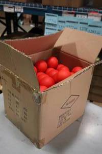 lot 1894 image: Lot of (1 Case) ProGuard Plastic Practice Street Hockey Balls 100-count ( 100 total items )