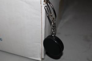lot 2421 image: Lot of (50) Blank Mini Puck Keychains