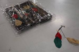 lot 3953 image: Lot of (1 Box) NHL Minnesota Wild logo Fan Feathers 12-count ( 12 total items )