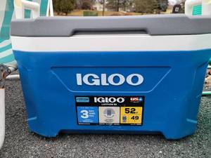 Lawn chairs & cooler