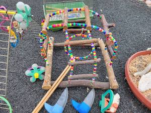 Bird Cage and Other Accessories