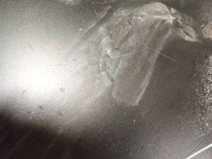 Cool Print picture 26.5x39