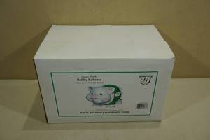 Memory Company 2004 Nascar Bobby Labonte Piggy Bank