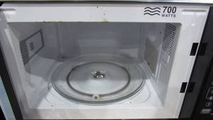 Small 700 Watt Microwave