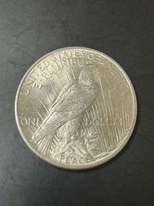 1925 Liberty Peace One Dollar Silver Coin