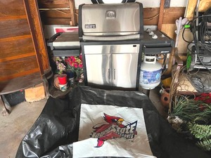 Weber Grill