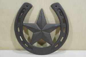 lot 170 image: Cast Iron Star Horseshoe