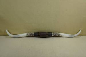 lot 177 image: Texas Longhorns Cast Resin Horns