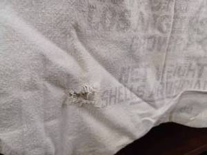 lot 15 image: Vintage 100 lb. Diamond Brand Walnuts Canvas Bag