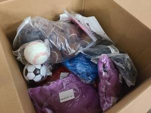 Box of Dog and Pet accessories