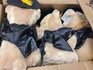 Box of graduating teddy bears