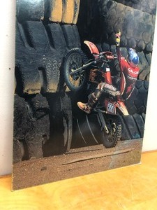 lot 76 image: Very Cool RED BULL RACING Promotional Wall Hanging