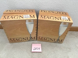 lot 254 image: 12 Magnum Champagne Flutes in Good Condition - NO ONSITE PAYMENTS.  PAY ONLINE BEFORE PICKUP