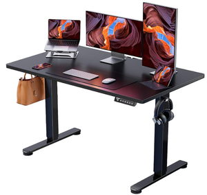 lot 170 image: ErGear Height Adjustable Electric Standing Desk 48x24