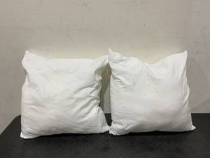 lot 216 image: 2 White Pillows 24x24
