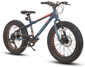 lot 21 image: Hiland 20 Inch Kids Bicycles Fat Tire Mountain Bike for Boys and Girls Age 5  Years