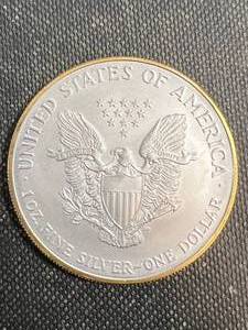 2005 AMERICAN SILVER EAGLE 1 TROY OZ .999 FINE SILVER