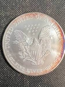 2001 AMERICAN SILVER EAGLE 1 TROY OZ .999 FINE SILVER