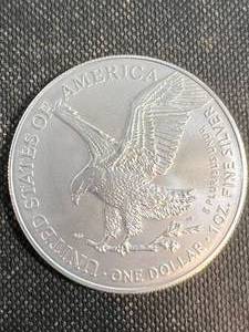 2024 AMERICAN SILVER EAGLE 1 TROY OZ .999 FINE SILVER