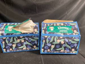 lot 122 image: Kleenex Hand Towels 60 Count - 2-Pack