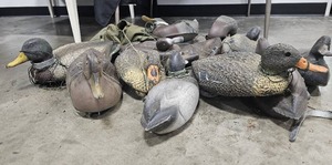 lot 5 image: Wide Variety of Duck Decoys - Some Hard Plastic and Some Rubber