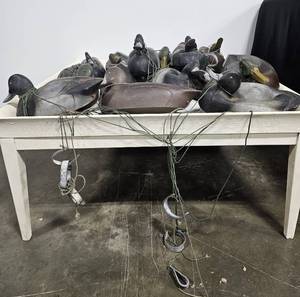 lot 6 image: Variety of Duck Decoys - All Rubber